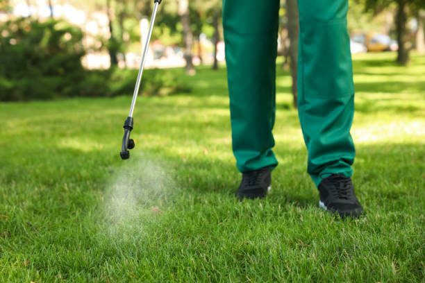 Reliable Grandville, MI Pest Control Solutions