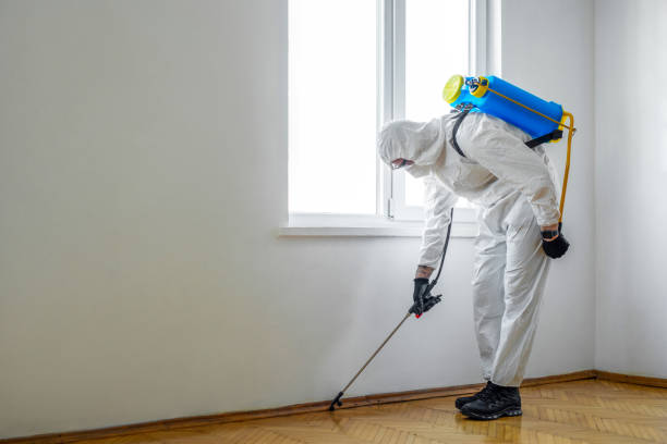 Best Residential Pest Control  in Grandville, MI