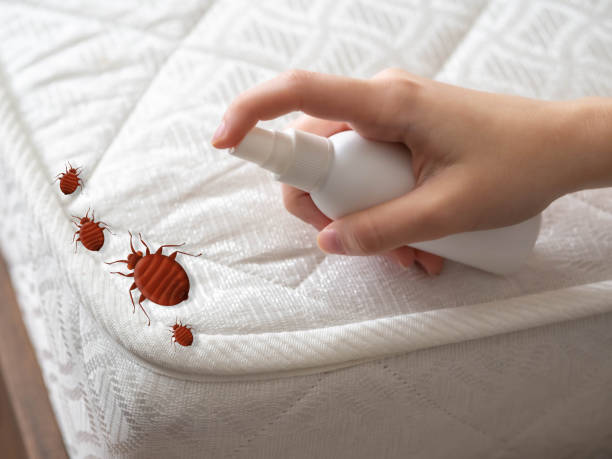 Pest Prevention Services in Grandville, MI