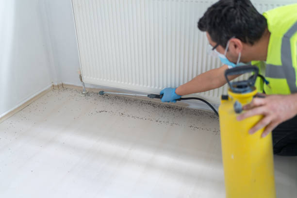 Best Best Pest Control Companies  in Grandville, MI